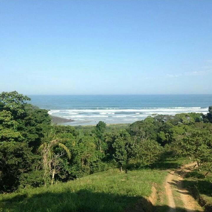 Junglez Eco Hostel Guarau Exterior photo